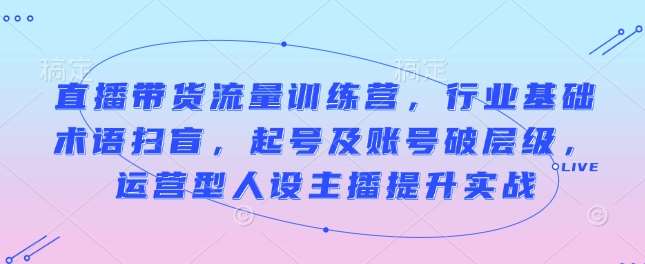 直播带货流量训练营,行业基础术语扫盲,起号及账号破层级,运营型人设主播提升实战网创吧-网创项目资源站-副业项目-创业项目-搞钱项目网创吧
