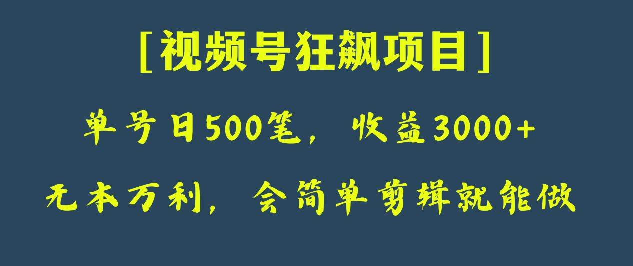 日收款500笔,纯利润3000+,视频号狂飙项目!网创吧-网创项目资源站-副业项目-创业项目-搞钱项目网创吧