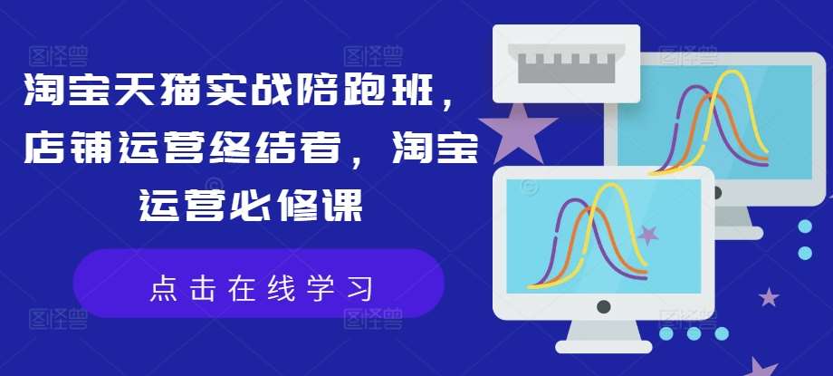 淘宝天猫实战陪跑班，店铺运营终结者，淘宝运营必修课网创吧-网创项目资源站-副业项目-创业项目-搞钱项目网创吧