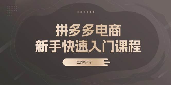 (13289期)拼多多电商新手快速入门课程:涵盖基础、实战与选款,助力小白轻松上手网创吧-网创项目资源站-副业项目-创业项目-搞钱项目网创吧