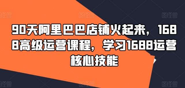 90天阿里巴巴店铺火起来,1688高级运营课程,学习1688运营核心技能网创吧-网创项目资源站-副业项目-创业项目-搞钱项目网创吧