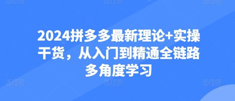 2024拼多多最新理论+实操干货,从入门到精通全链路多角度学习网创吧-网创项目资源站-副业项目-创业项目-搞钱项目网创吧