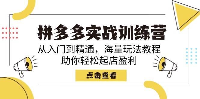 （14392期）拼多多实战训练营，从入门到精通，海量玩法教程，助你轻松起店盈利网创吧-网创项目资源站-副业项目-创业项目-搞钱项目网创吧