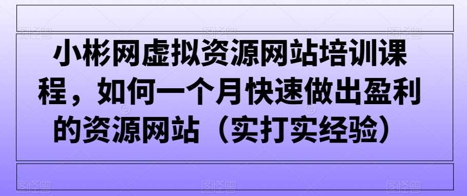 小彬网虚拟资源网站培训课程，如何一个月快速做出盈利的资源网站（实打实经验）网创吧-网创项目资源站-副业项目-创业项目-搞钱项目网创吧