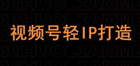 视频号线上课程,视频号轻IP打造网创吧-网创项目资源站-副业项目-创业项目-搞钱项目网创吧