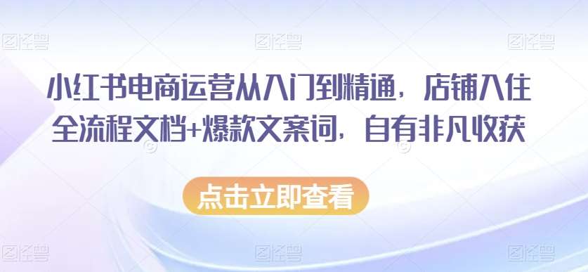小红书电商运营从入门到精通,店铺入住全流程文档+爆款文案词,自有非凡收获网创吧-网创项目资源站-副业项目-创业项目-搞钱项目网创吧