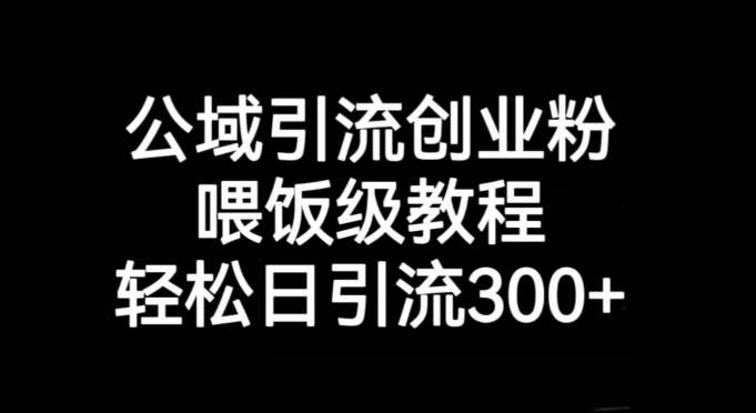 公域引流创业粉,喂饭级教程,轻松日引流300+【揭秘】网创吧-网创项目资源站-副业项目-创业项目-搞钱项目网创吧