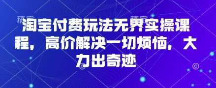 淘宝付费玩法无界实操课程,高价解决一切烦恼,大力出奇迹网创吧-网创项目资源站-副业项目-创业项目-搞钱项目网创吧