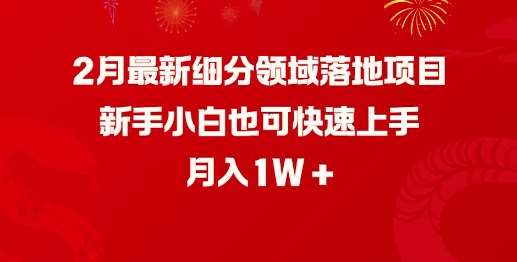 2月最新细分领域落地项目,新手小白也可快速上手,月入1W网创吧-网创项目资源站-副业项目-创业项目-搞钱项目网创吧