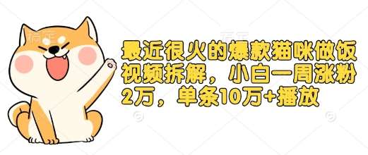 最近很火的爆款猫咪做饭视频拆解,小白一周涨粉2万,单条10万+播放(附保姆级教程)网创吧-网创项目资源站-副业项目-创业项目-搞钱项目网创吧