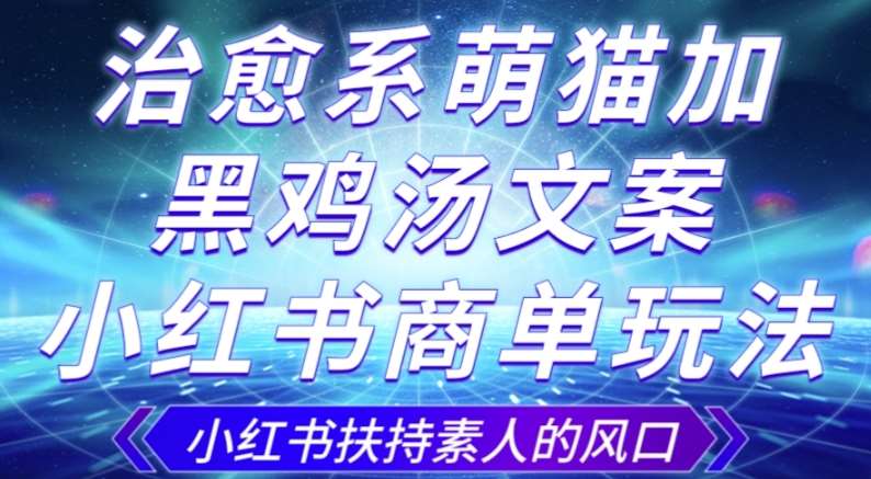 治愈系萌猫加+黑鸡汤文案,小红书商单玩法,3~10天涨到1000粉,一单200左右网创吧-网创项目资源站-副业项目-创业项目-搞钱项目网创吧