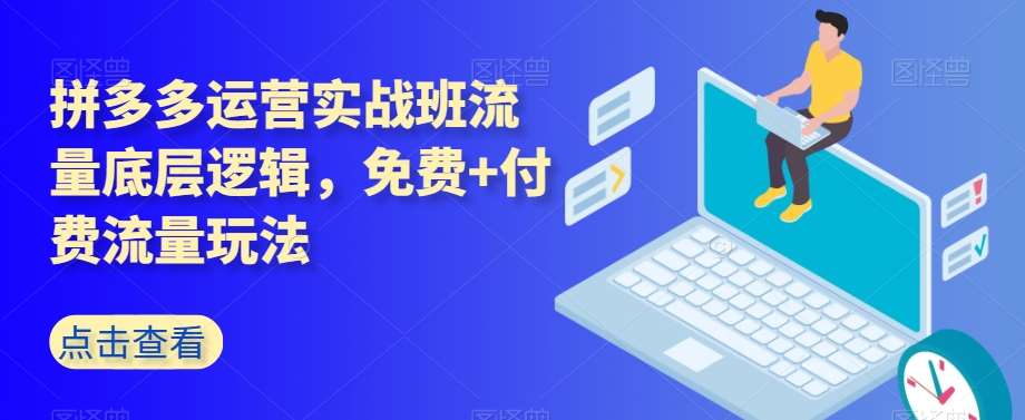 拼多多运营实战班流量底层逻辑,免费+付费流量玩法网创吧-网创项目资源站-副业项目-创业项目-搞钱项目网创吧