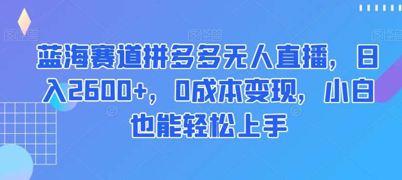 蓝海赛道拼多多无人直播,日入2600+,0成本变现,小白也能轻松上手【揭秘】网创吧-网创项目资源站-副业项目-创业项目-搞钱项目网创吧