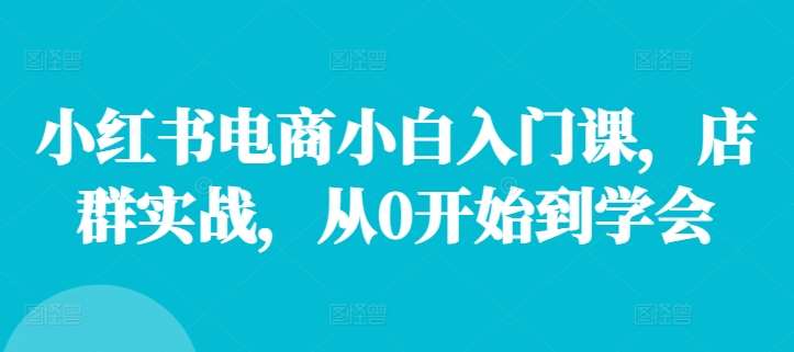 小红书电商小白入门课,店群实战,从0开始到学会网创吧-网创项目资源站-副业项目-创业项目-搞钱项目网创吧