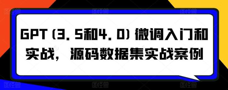 GPT(3.5和4.0)微调入门和实战,源码数据集实战案例网创吧-网创项目资源站-副业项目-创业项目-搞钱项目网创吧