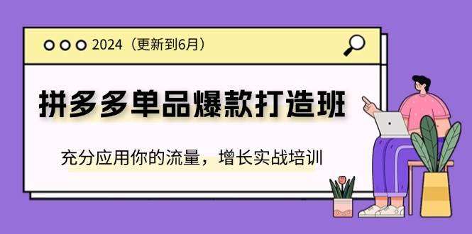（11556期）2024拼多多-单品爆款打造班(更新6月)，充分应用你的流量，增长实战培训网创吧-网创项目资源站-副业项目-创业项目-搞钱项目网创吧