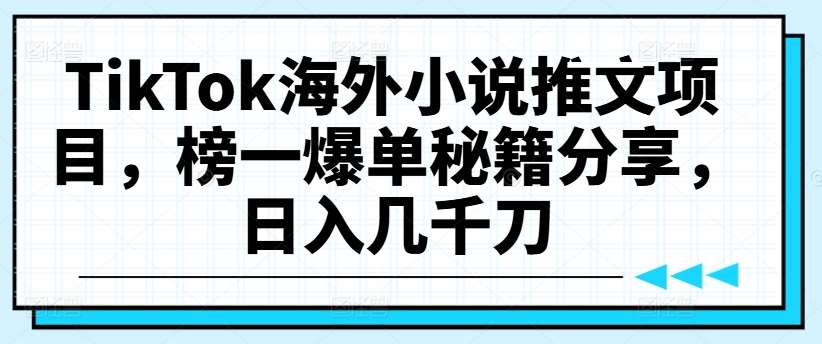 TikTok海外小说推文项目,榜一爆单秘籍分享,日入几千刀网创吧-网创项目资源站-副业项目-创业项目-搞钱项目网创吧