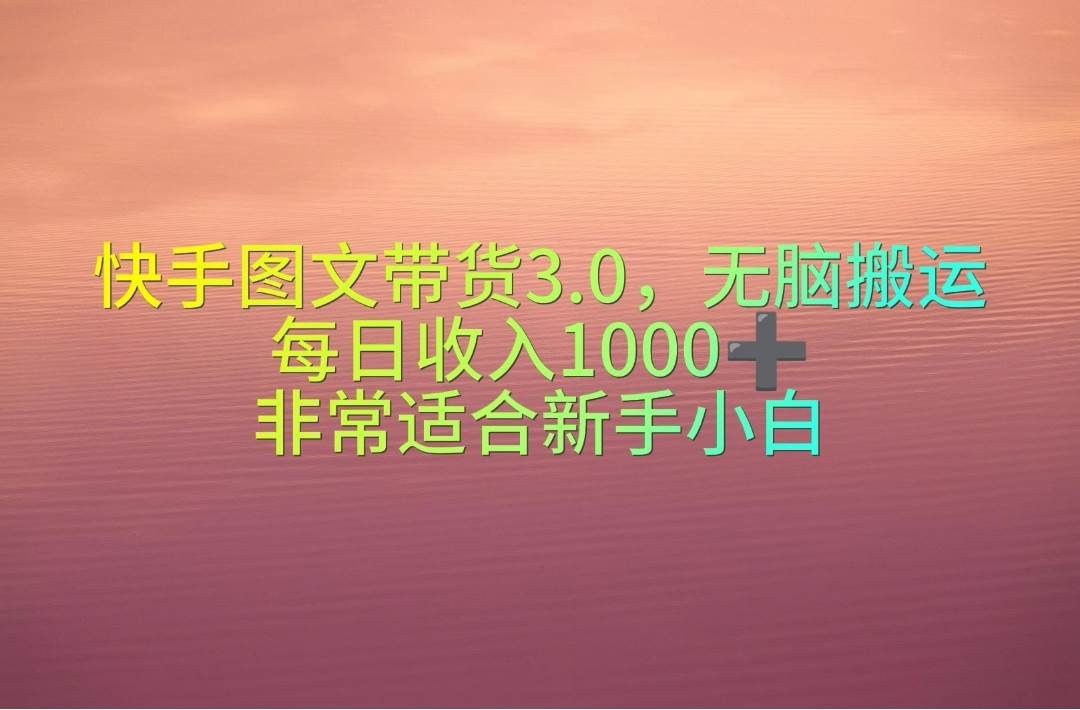 (10252期)快手图文带货3.0,无脑搬运,每日收入1000+,非常适合新手小白网创吧-网创项目资源站-副业项目-创业项目-搞钱项目网创吧
