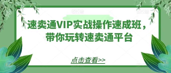 速卖通VIP实战操作速成班,带你玩转速卖通平台网创吧-网创项目资源站-副业项目-创业项目-搞钱项目网创吧