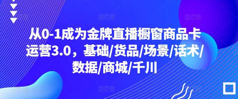 从0-1成为金牌直播橱窗商品卡运营3.0,基础/货品/场景/话术/数据/商城/千川网创吧-网创项目资源站-副业项目-创业项目-搞钱项目网创吧