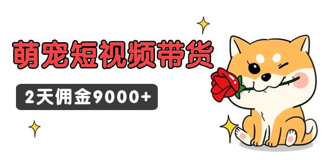 (9273期)东哲日记·萌宠短视频带货,2天佣金9000+网创吧-网创项目资源站-副业项目-创业项目-搞钱项目网创吧