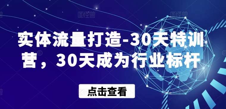 实体流量打造-30天特训营,30天成为行业标杆网创吧-网创项目资源站-副业项目-创业项目-搞钱项目网创吧