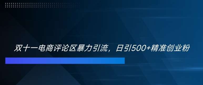 双十一电商评论区暴力引流,日引500+精准创业粉【揭秘】网创吧-网创项目资源站-副业项目-创业项目-搞钱项目网创吧