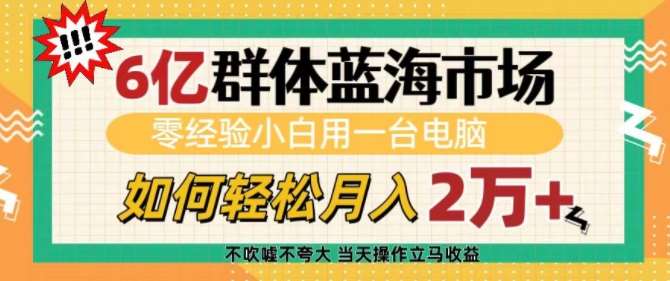 6亿群体蓝海市场,零经验小白用一台电脑,如何轻松月入过w【揭秘】网创吧-网创项目资源站-副业项目-创业项目-搞钱项目网创吧