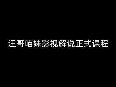 汪哥影视解说正式课程:剪映/PR教学/视解说剪辑5大黄金法则/全流程剪辑7把利器等等网创吧-网创项目资源站-副业项目-创业项目-搞钱项目网创吧