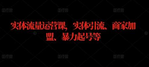 实体流量运营课,实体引流、商家加盟、暴力起号等网创吧-网创项目资源站-副业项目-创业项目-搞钱项目网创吧