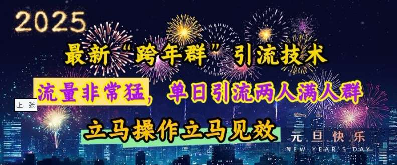 最新“跨年群”引流,流量非常猛,单日引流两人满人群,立马操作立马见效【揭秘】网创吧-网创项目资源站-副业项目-创业项目-搞钱项目网创吧
