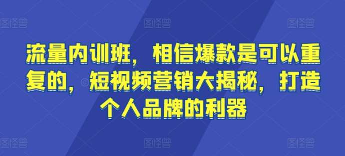 流量内训班,相信爆款是可以重复的,短视频营销大揭秘,打造个人品牌的利器网创吧-网创项目资源站-副业项目-创业项目-搞钱项目网创吧