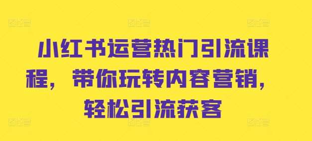 小红书运营热门引流课程,带你玩转内容营销,轻松引流获客网创吧-网创项目资源站-副业项目-创业项目-搞钱项目网创吧
