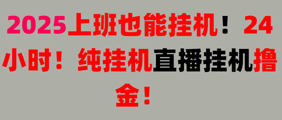 新手也能简单上手！零基础！上班也能挂机！24小时纯挂机！直播挂机撸金！网创吧-网创项目资源站-副业项目-创业项目-搞钱项目网创吧