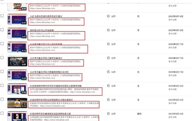 2025油管引流术,分享我是如何通过油管做引流的网创吧-网创项目资源站-副业项目-创业项目-搞钱项目网创吧