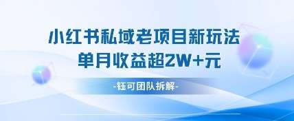 小红书私域项目新玩法,单月变现过W+网创吧-网创项目资源站-副业项目-创业项目-搞钱项目网创吧