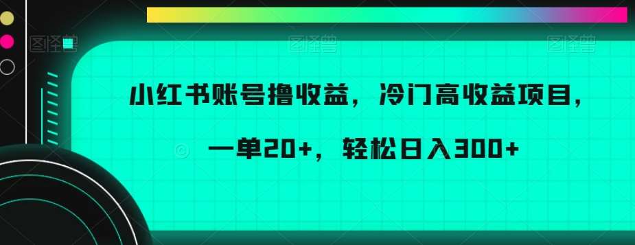 小红书账号撸收益,冷门高收益项目,一单20+,轻松日入300+【揭秘】网创吧-网创项目资源站-副业项目-创业项目-搞钱项目网创吧