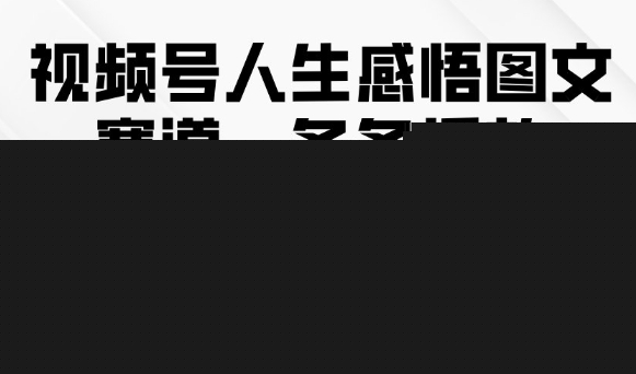 视频号人生感悟图文赛道,条条播放10w+,这个方法做视频号太牛了网创吧-网创项目资源站-副业项目-创业项目-搞钱项目网创吧