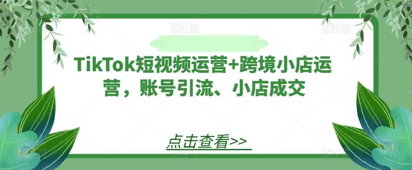 TikTok短视频运营+跨境小店运营,账号引流、小店成交网创吧-网创项目资源站-副业项目-创业项目-搞钱项目网创吧