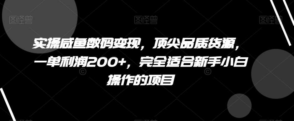 实操咸鱼数码变现,顶尖品质货源,一单利润200+,完全适合新手小白操作的项目【揭秘】网创吧-网创项目资源站-副业项目-创业项目-搞钱项目网创吧