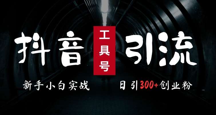 2024最新抖音工具号引流玩法,高效日引300+创业粉,当天变现5k,小白也可成为实战高手网创吧-网创项目资源站-副业项目-创业项目-搞钱项目网创吧