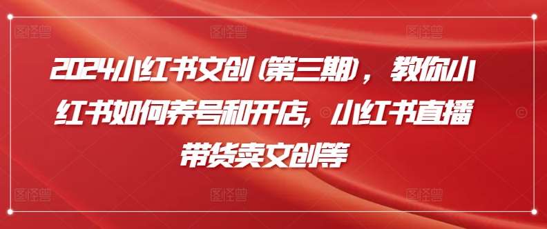 2024小红书文创(第三期),教你小红书如何养号和开店,小红书直播带货卖文创等网创吧-网创项目资源站-副业项目-创业项目-搞钱项目网创吧