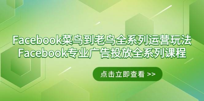 (9064期)Facebook-菜鸟到老鸟全系列运营玩法+Facebook-专业广告投放全系列课程网创吧-网创项目资源站-副业项目-创业项目-搞钱项目网创吧