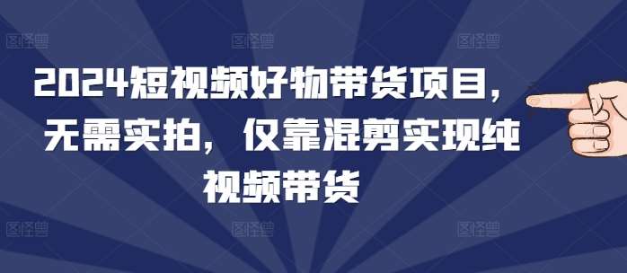 2024短视频好物带货项目,无需实拍,仅靠混剪实现纯视频带货网创吧-网创项目资源站-副业项目-创业项目-搞钱项目网创吧