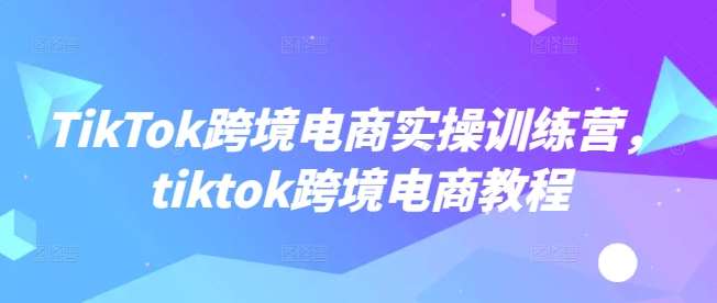 TikTok跨境电商实操训练营,tiktok跨境电商教程网创吧-网创项目资源站-副业项目-创业项目-搞钱项目网创吧