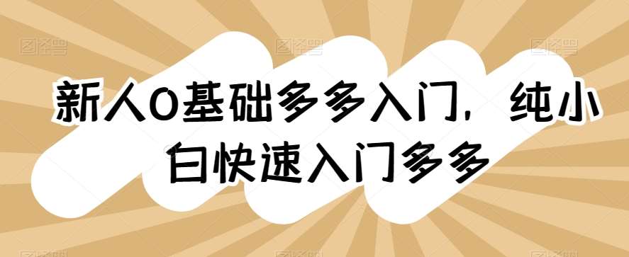 新人0基础多多入门，​纯小白快速入门多多网创吧-网创项目资源站-副业项目-创业项目-搞钱项目网创吧