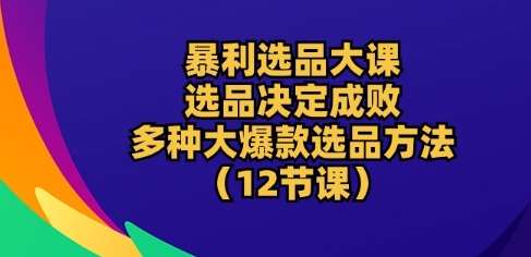 暴利选品大课:选品决定成败,教你多种大爆款选品方法(12节课)网创吧-网创项目资源站-副业项目-创业项目-搞钱项目网创吧
