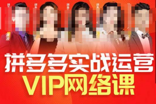 推易拼多多VIP全套直播课程,拼多多店铺实操玩法+实战玩法选款内功+直通车高阶等网创吧-网创项目资源站-副业项目-创业项目-搞钱项目网创吧