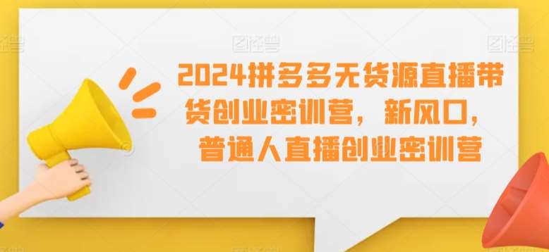 2024拼多多无货源直播带货创业密训营,新风口,普通人直播创业密训营网创吧-网创项目资源站-副业项目-创业项目-搞钱项目网创吧