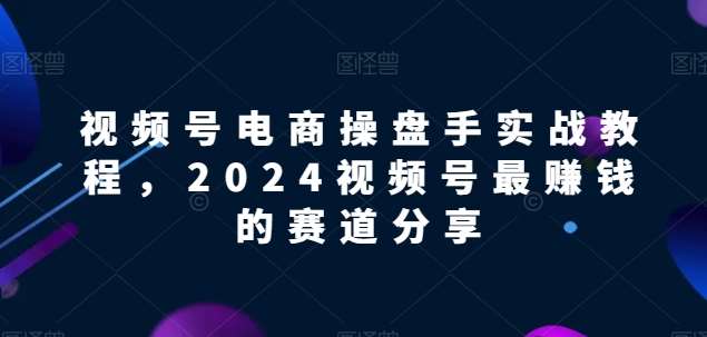 视频号电商实战教程,2024视频号最赚钱的赛道分享网创吧-网创项目资源站-副业项目-创业项目-搞钱项目网创吧